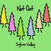 Sylvan Valley - Not Out (feat. Jonas T) - Single